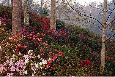 开放世界骑行《Parcel Corps》XSX＆S推出限时试玩Demo